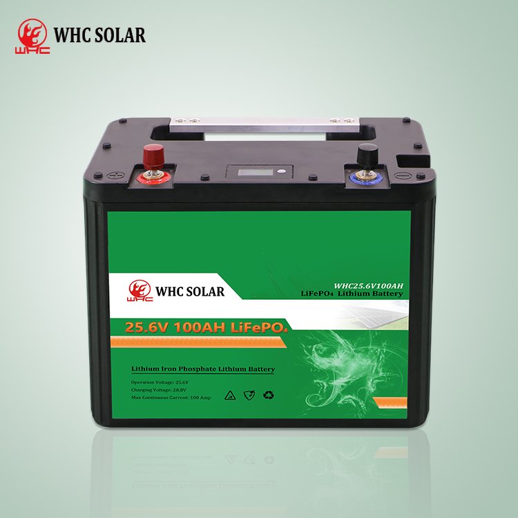 WHC UPS Solar Lithium Battery LiFePo4 24v 25.6v 100ah with BMS - Image 8