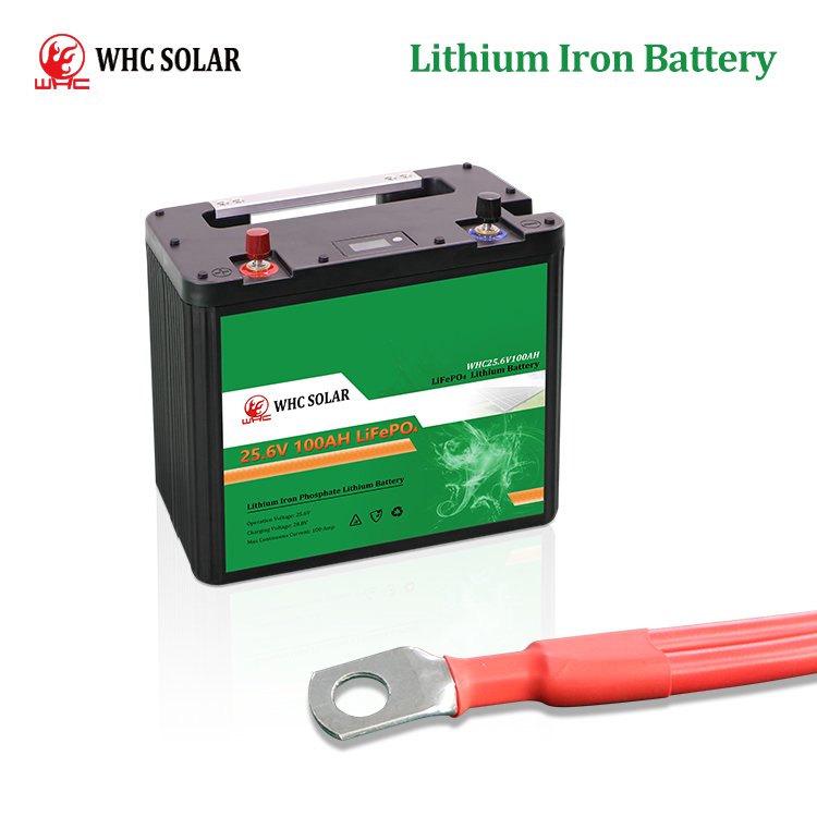 WHC UPS Solar Lithium Battery LiFePo4 24v 25.6v 100ah with BMS - Image 7