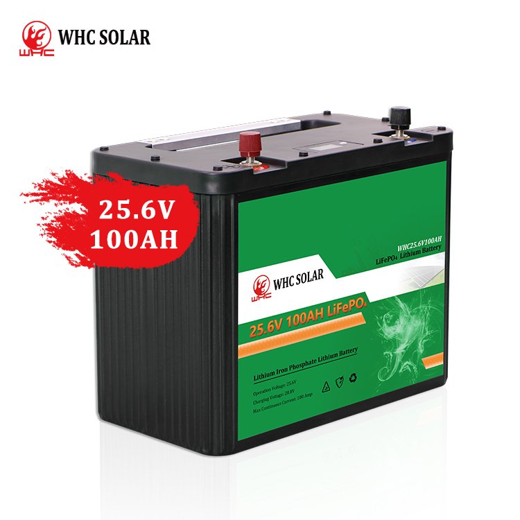 WHC UPS Solar Lithium Battery LiFePo4 24v 25.6v 100ah with BMS - Image 3